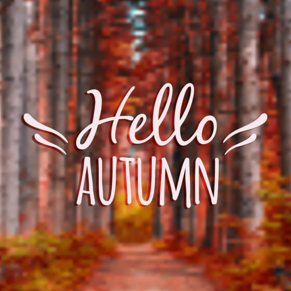 autumn, fall, seasonal, seasonal promotion